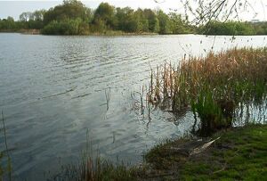 <i>Afsides beliggende med 2-3 fiskepladser</i>