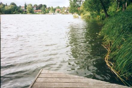 <i>Vejlesø</i>