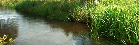 Slideshow Image 3