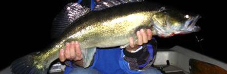 Slideshow Image 4